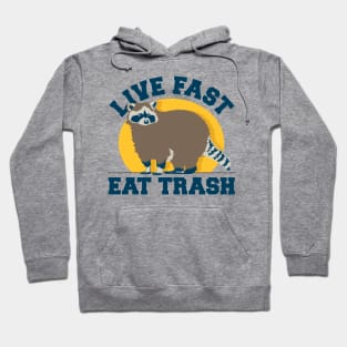 Live Fast Eat Trash Raccoon T-shirt Hoodie